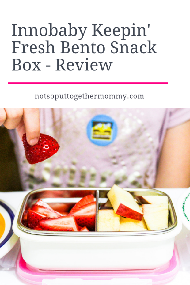 Innobaby Bento Snack Box