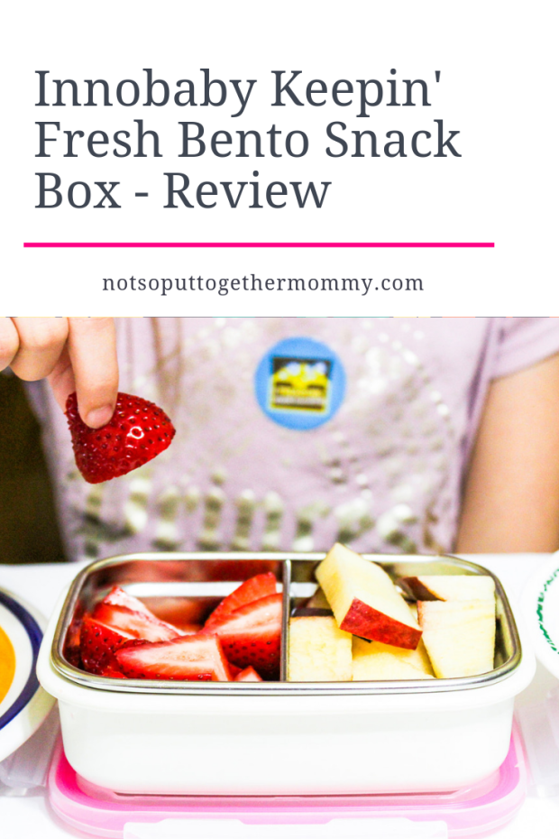 Best Lunchboxes To Keep Food Warm - Innobaby